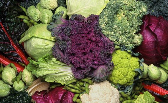 Comer crucíferas faz bem para a saúde arterial