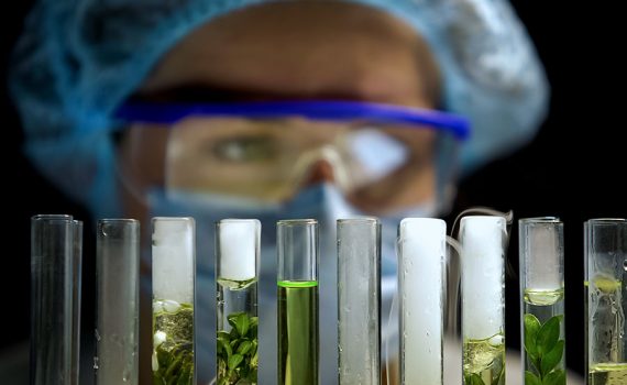 Empregos verdes: opções profissionais sustentáveis