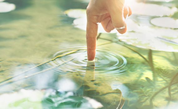 Dados ajudam a calcular uso eficiente de água