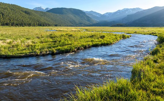 Método consegue avaliar qualidade da água em tempo real
