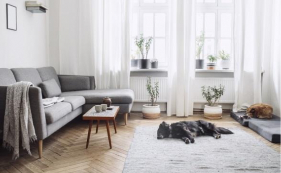 A pandemia redefine o conceito de lar