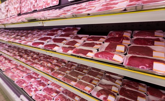 O futuro da carne cultivada