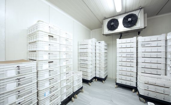 Refrigeração eficiente poderia reduzir a fome em muitos países