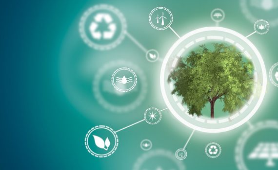 Ambientes altamente controlados monitoram o crescimento de plantas