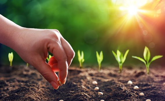 “Campeões da Terra” premia projetos de conservação ambiental