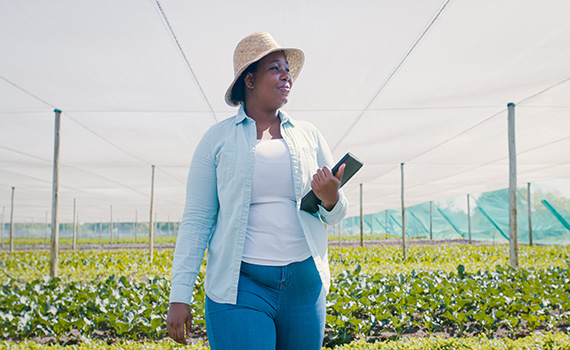 5 chaves para a autossuficiência na África