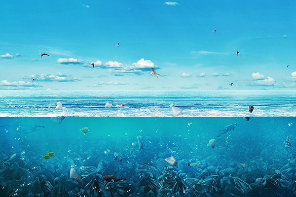 Descoberto um fungo que decompõe o plástico