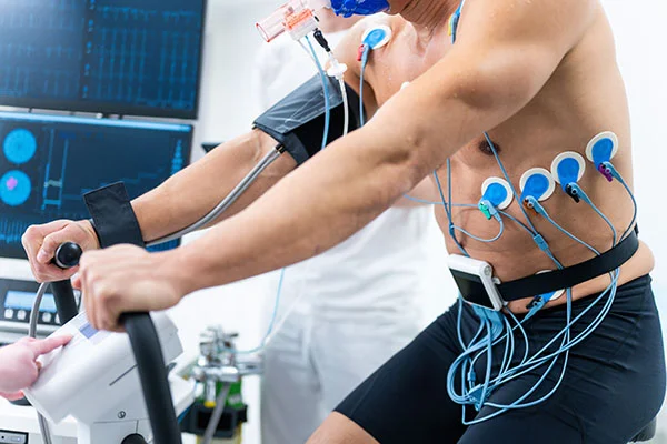 Índice de massa corporal versus percentagem de gordura corporal: qual é o melhor indicador do risco de mortalidade?