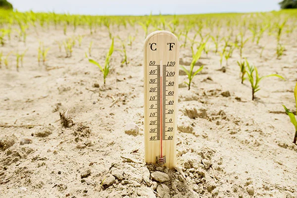 Adaptação às mudanças climáticas: o que é e por que é crucial