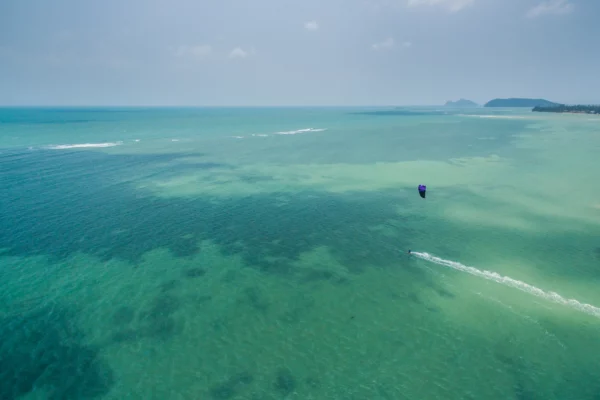 Tratado do Alto Mar: um marco para a saúde e a governança dos oceanos