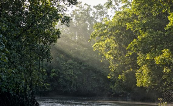 Acuerdos para proteger la biodiversidad