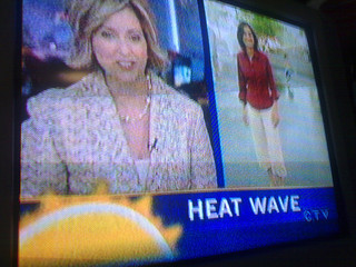 Clima extremo y olas de calor: 760 muertos en Reino Unido