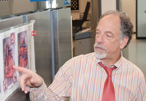 Ansiedad y riesgo cardiovascular en ancianos