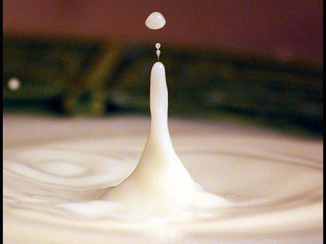 Beber leche baja en grasa podría reducir la artritis de las rodillas de las mujeres.