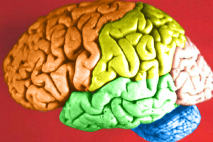 Estudio apunta incremento en la importancia del psicólogo deportivo en el fútbol