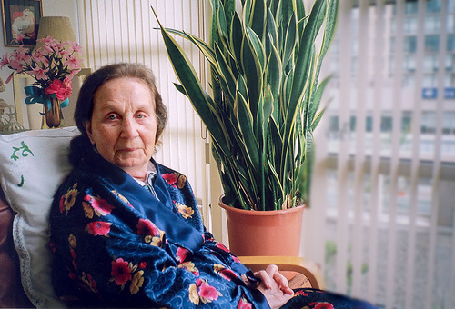 El impacto del Alzheimer en la familia