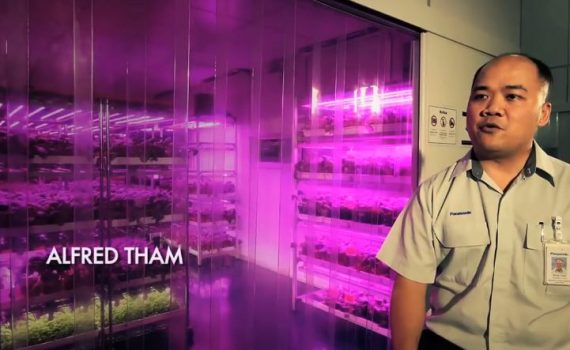 Fábricas de alta tecnología se transforman en granjas