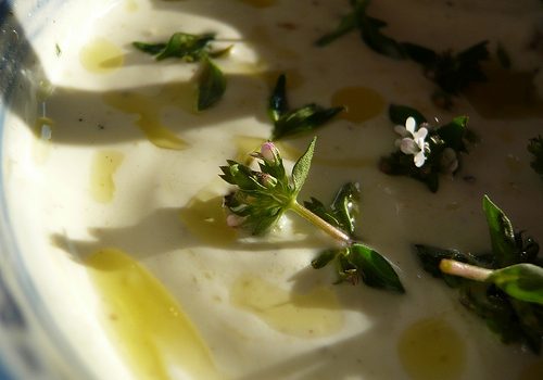 Consumo diario de yogurt podría reducir el riesgo de diabetes