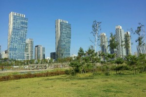 Ciudades inteligentes para la sostenibilidad