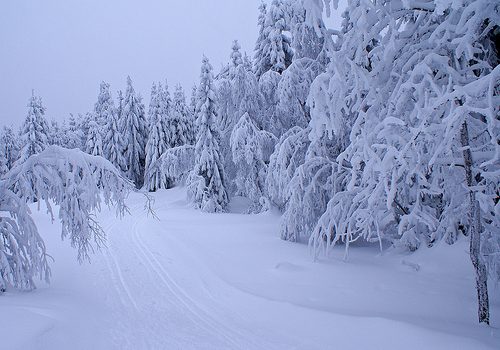 Calentamiento global incrementaría la cantidad de nieve en la Antártida