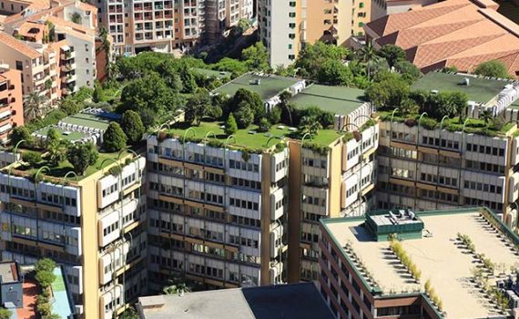 California proyecta construir el techo verde más grande del mundo