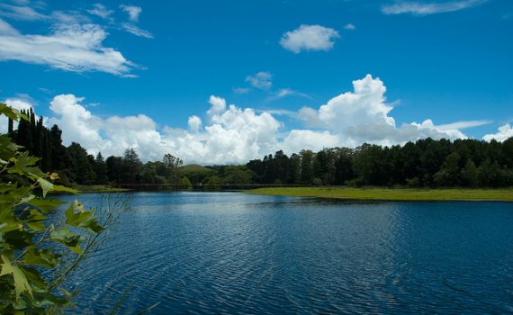 Acuerdo por el Medio Ambiente