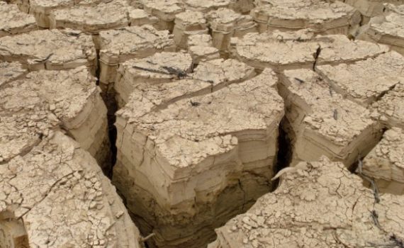 Calentamiento global: Impactante incremento de temperatura en febrero