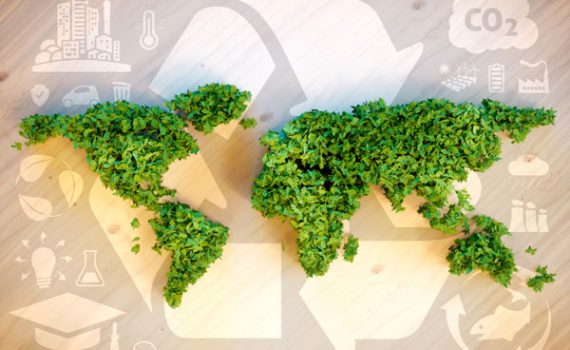 Descubren bacteria que permite remediar el efecto de herbicidas