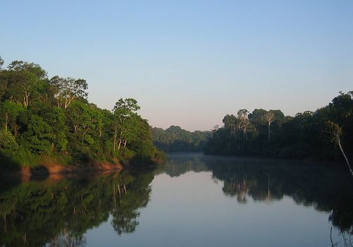 Declaran estado de emergencia por contaminación en selva peruana