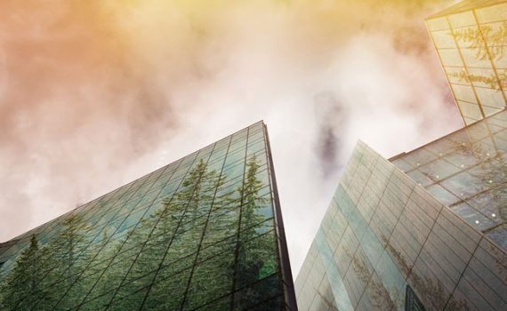 ¿Cómo entender la sustentabilidad en el Siglo XXI?