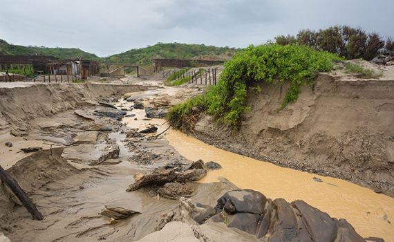 Los efectos del fenómeno El Niño Costero en Perú