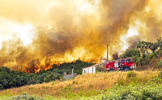 Portugal sufre las consecuencias de los incendios forestales
