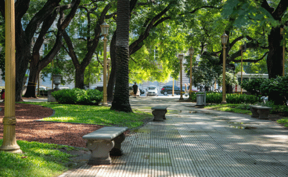 Premian al Parque de la Estación en Buenos Aires como proyecto innovador