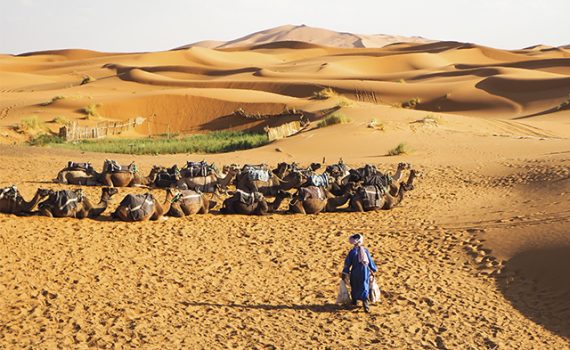La telefonía móvil permite a los nómadas conservar su modo de vida