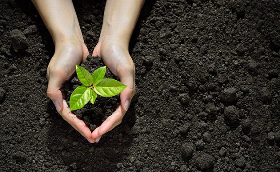 Aumentan los niveles de CO2 de la atmósfera