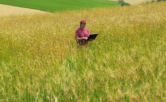 Las nuevas tecnologías mejoran los servicios municipales en pueblos españoles