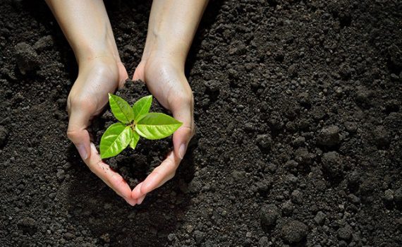 Crecen los niveles de CO2 de la atmósfera