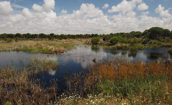 Deuda de uno de los mayores desastres ambientales en España