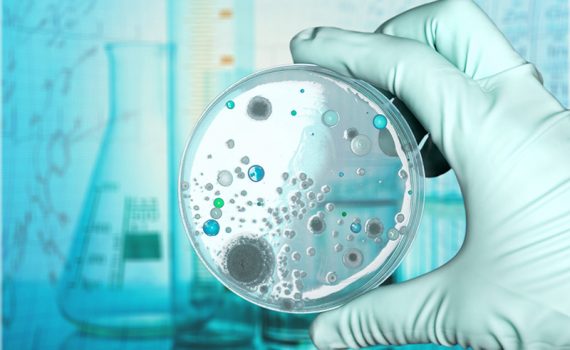 Analizan los alimentos de América Latina para la creación de probióticos