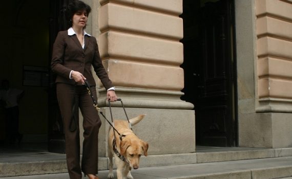 La radiofrecuencia y los ultrasonidos, métodos para ayudar a los invidentes