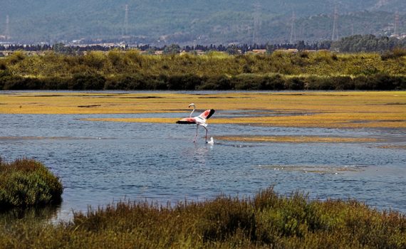 Las mayores reservas de agua del planeta se están secando