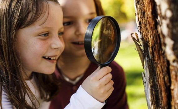 Consejos para una educación que cuide del planeta