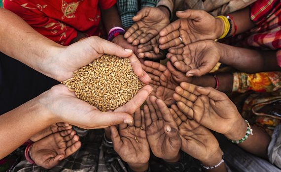 Alerta del hambre persistente en las zonas de conflicto