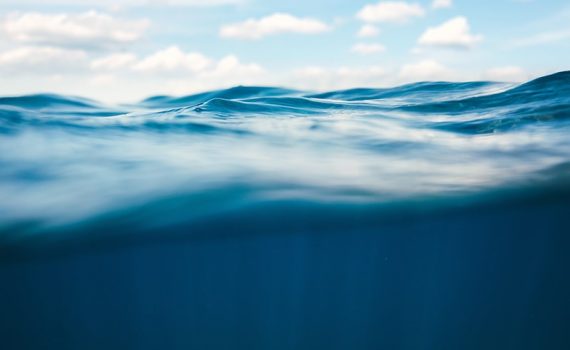 Descubren miles de virus marítimos totalmente nuevos para la ciencia