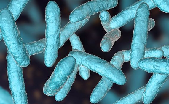 Investigan la influencia de la microbiota intestinal para la salud