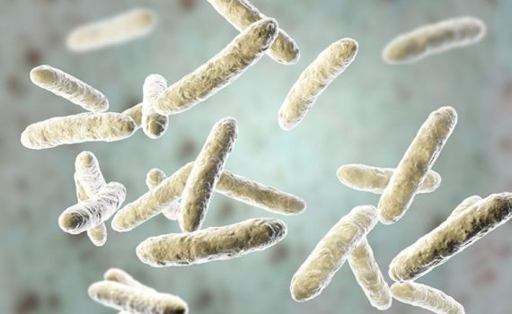 Estudio identifica bacterias intestinales con fibromialgia