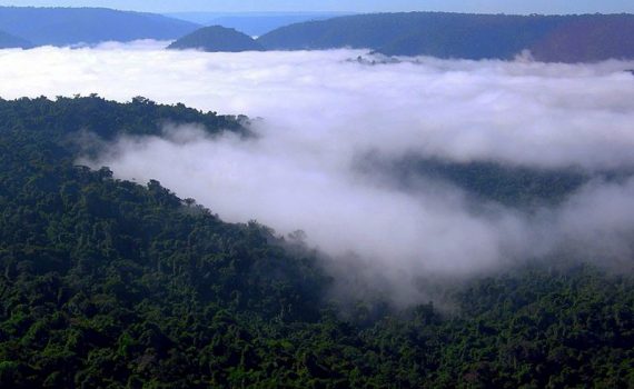 Presión internacional para la preservación ambiental en Brasil