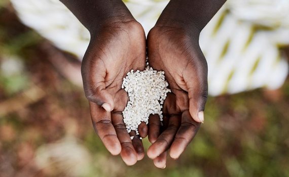 Alerta por el hambre a gran escala en el sur de Sudán