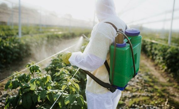 Los contaminantes prohibidos en 2004 continúan afectando a los fetos