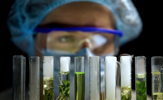 Lo que queda por mejorar en la producción de bioetanol